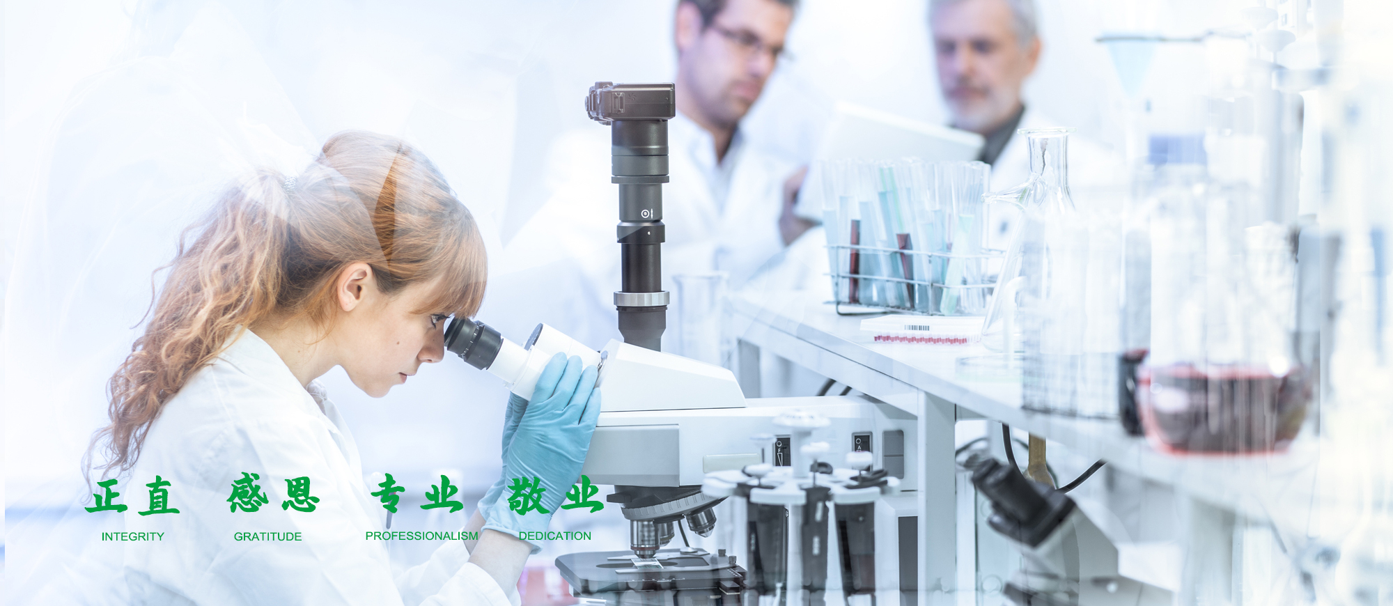 首頁橫幅一